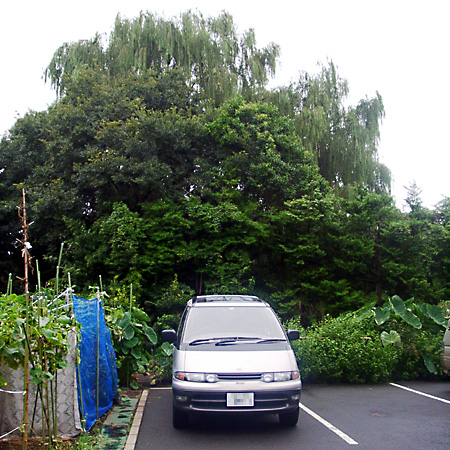 日々雑感 - DoromPATIO