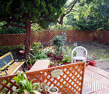 日々雑感 - DoromPATIO