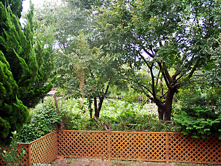 日々雑感 - DoromPATIO