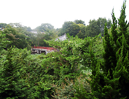 日々雑感 - DoromPATIO