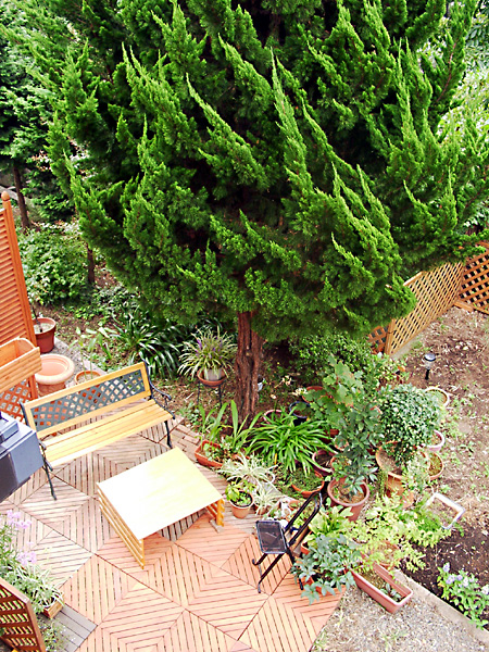 日々雑感 - DoromPATIO