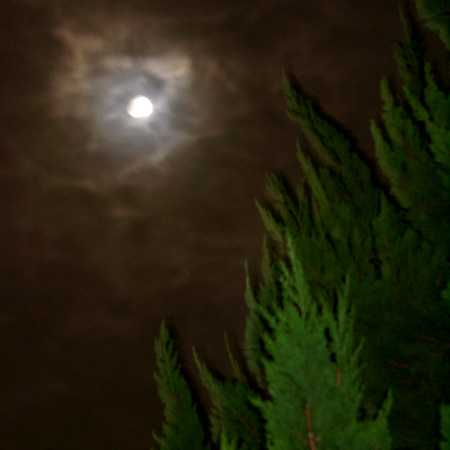 日々雑感 - DoromPATIO