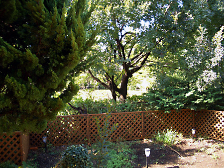 日々雑感 - DoromPATIO