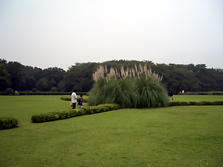 日々雑感 - DoromPATIO