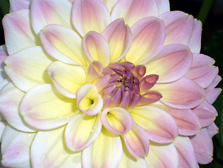 日々雑感 - DoromPATIO