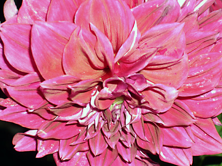 日々雑感 - DoromPATIO