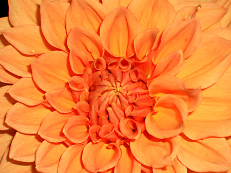 日々雑感 - DoromPATIO