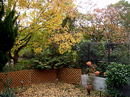 日々雑感 - DoromPATIO