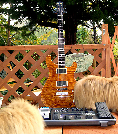 日々雑感 - DoromPATIO