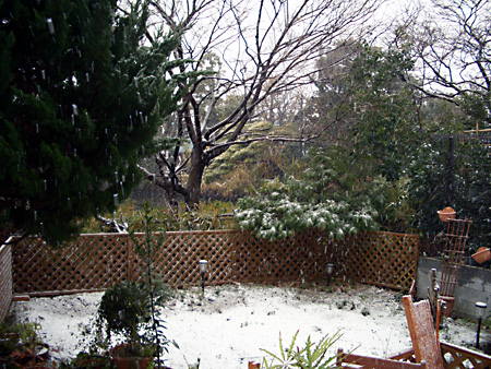 日々雑感 - DoromPATIO