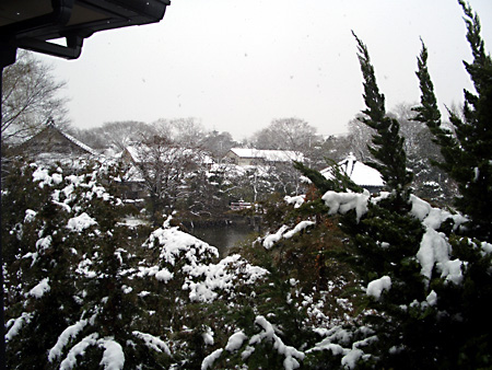 日々雑感 - DoromPATIO