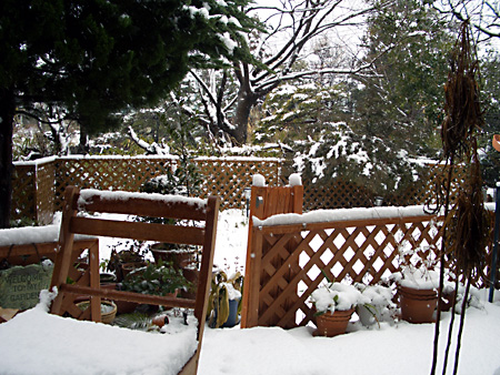 日々雑感 - DoromPATIO