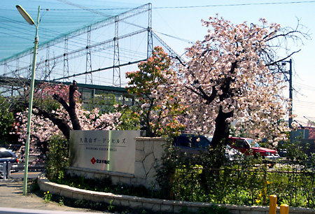 日々雑感 - DoromPATIO