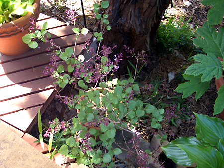 日々雑感 - DoromPATIO