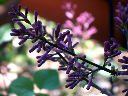 日々雑感 - DoromPATIO