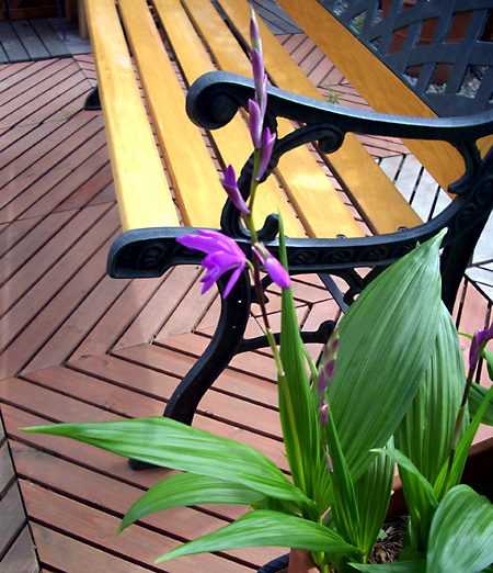 日々雑感 - DoromPATIO