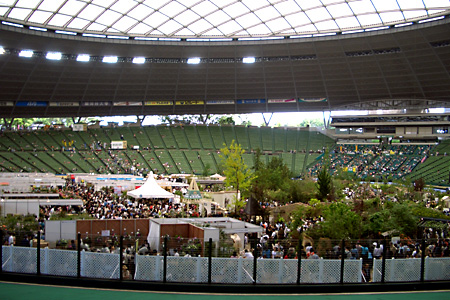 日々雑感 - DoromPATIO