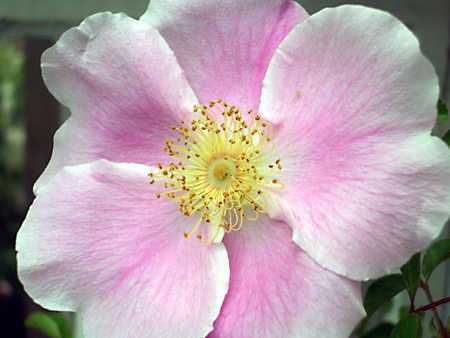 日々雑感 - DoromPATIO