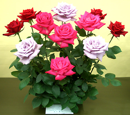 日々雑感 - DoromPATIO