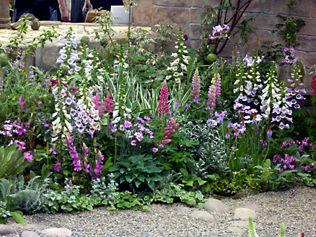 日々雑感 - DoromPATIO