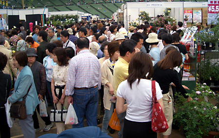 日々雑感 - DoromPATIO