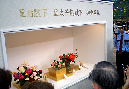 日々雑感 - DoromPATIO