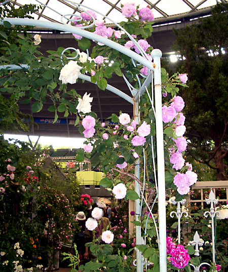 日々雑感 - DoromPATIO