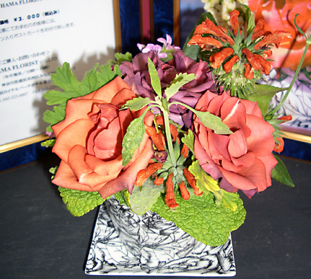 日々雑感 - DoromPATIO