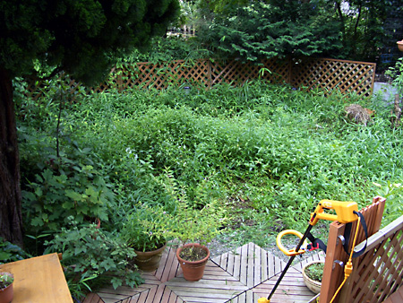 日々雑感 - DoromPATIO