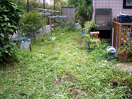 日々雑感 - DoromPATIO