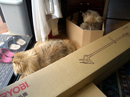 日々雑感 - DoromPATIO