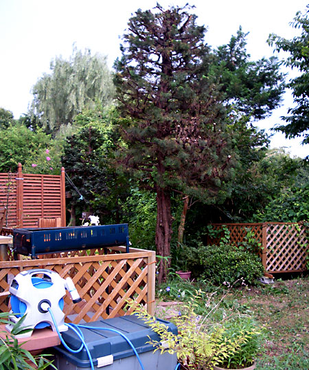 日々雑感 - DoromPATIO