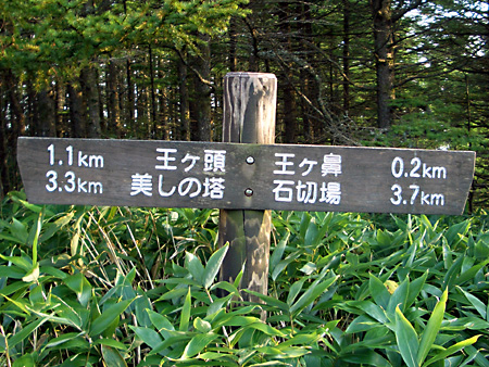 美ヶ原高原、上高地、愛知万博
