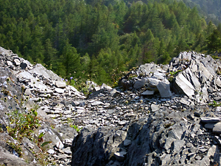 美ヶ原高原、上高地、愛知万博