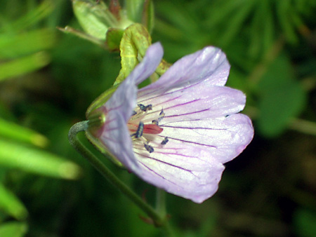 美ヶ原高原、上高地、愛知万博