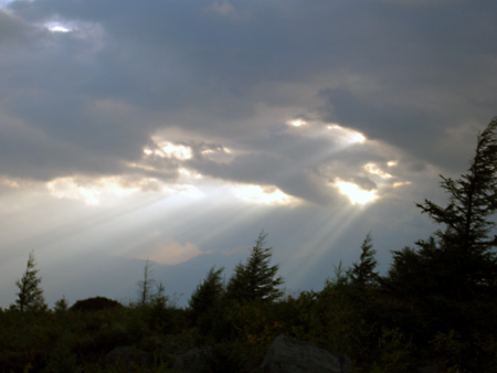 美ヶ原高原、上高地、愛知万博
