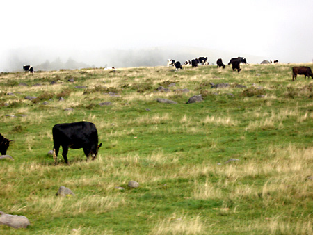 美ヶ原高原、上高地、愛知万博