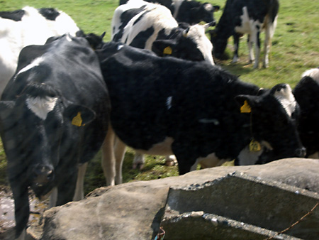 美ヶ原高原、上高地、愛知万博