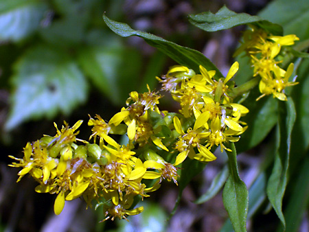 美ヶ原高原、上高地、愛知万博