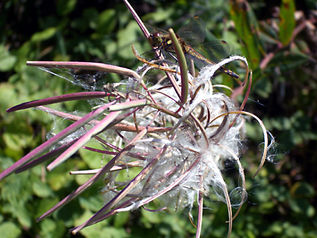 美ヶ原高原、上高地、愛知万博