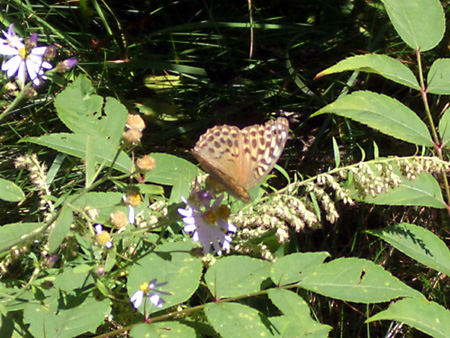 美ヶ原高原、上高地、愛知万博