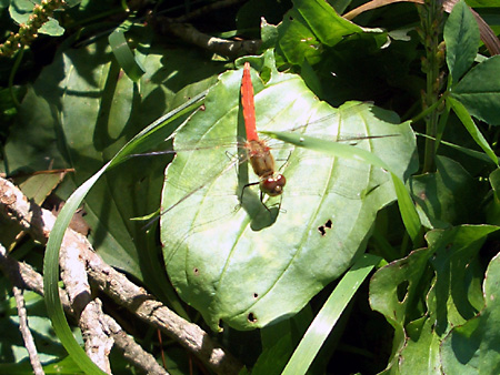 美ヶ原高原、上高地、愛知万博