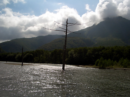 美ヶ原高原、上高地、愛知万博