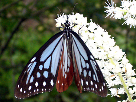 美ヶ原高原、上高地、愛知万博