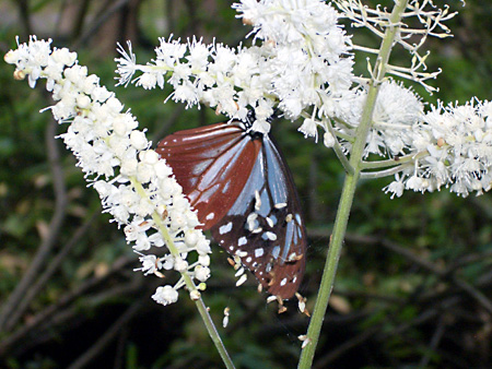 美ヶ原高原、上高地、愛知万博