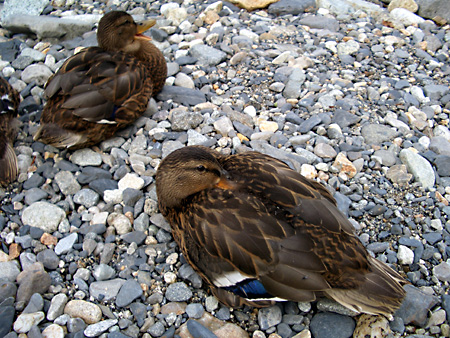 美ヶ原高原、上高地、愛知万博