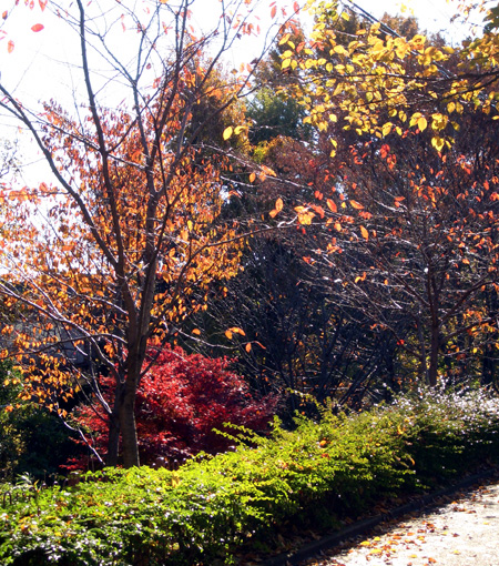 日々雑感 - DoromPATIO