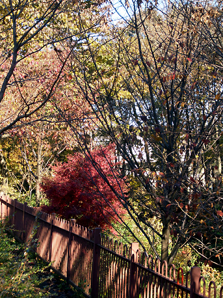 日々雑感 - DoromPATIO