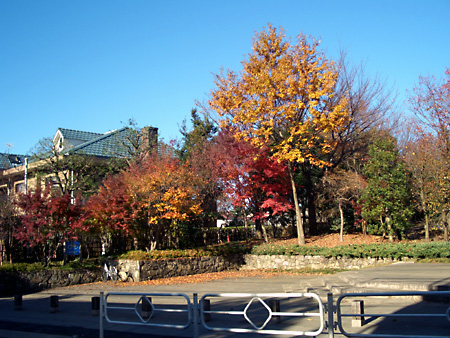 日々雑感 - DoromPATIO