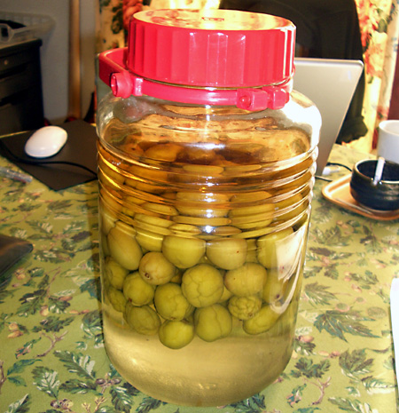 日々雑感 - DoromPATIO